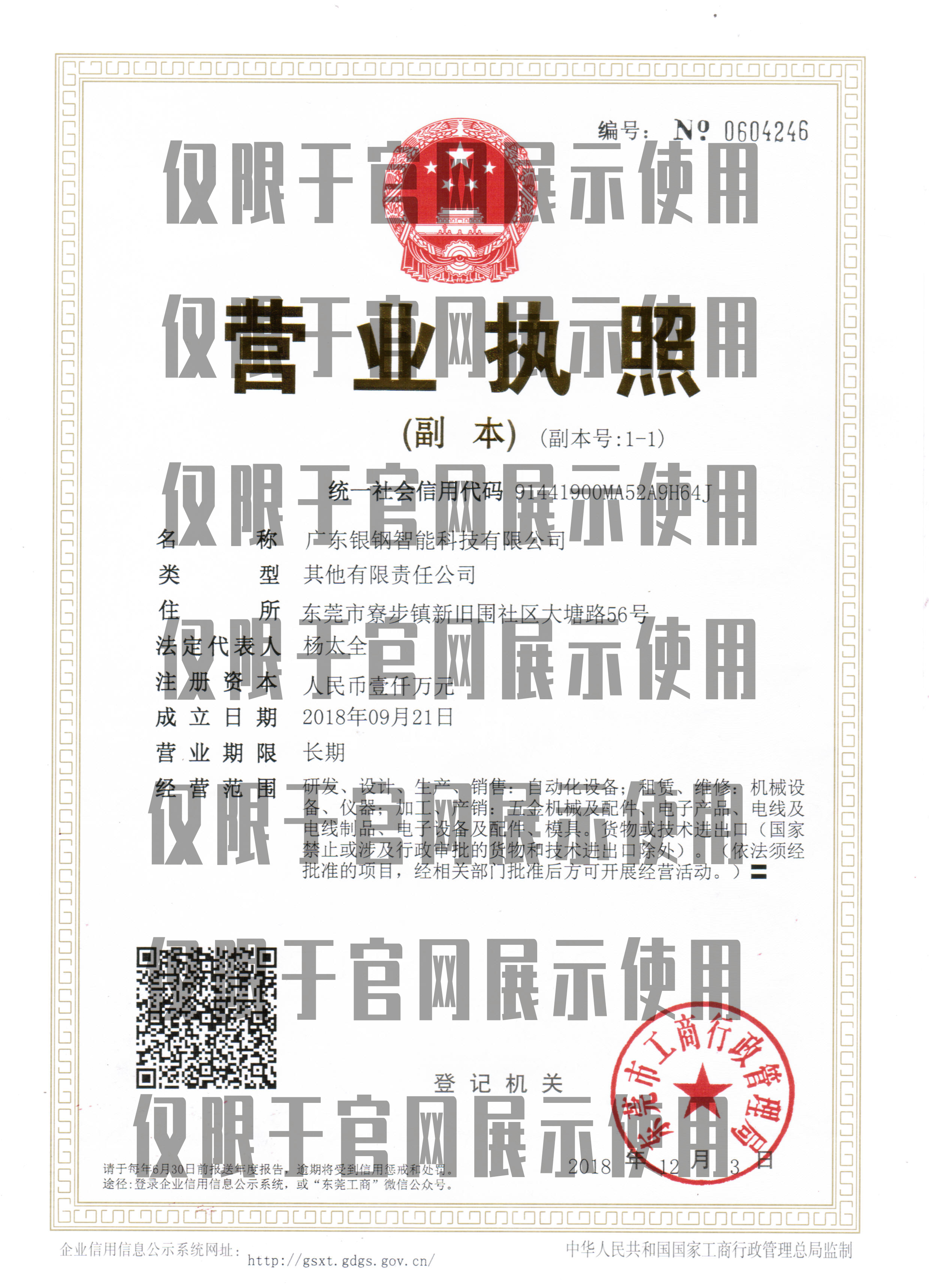 美彩国际营业执照